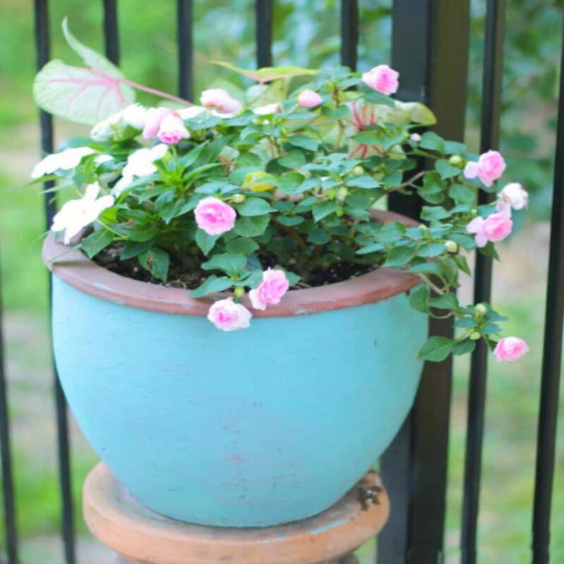 flowers in blue painted pot