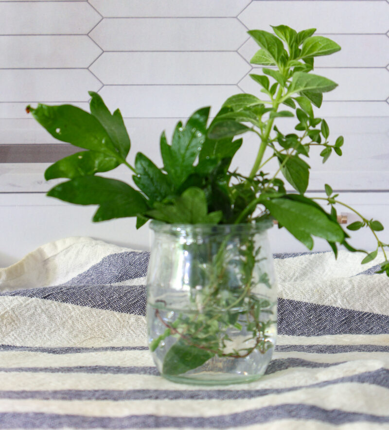 herbs in small glass jar
