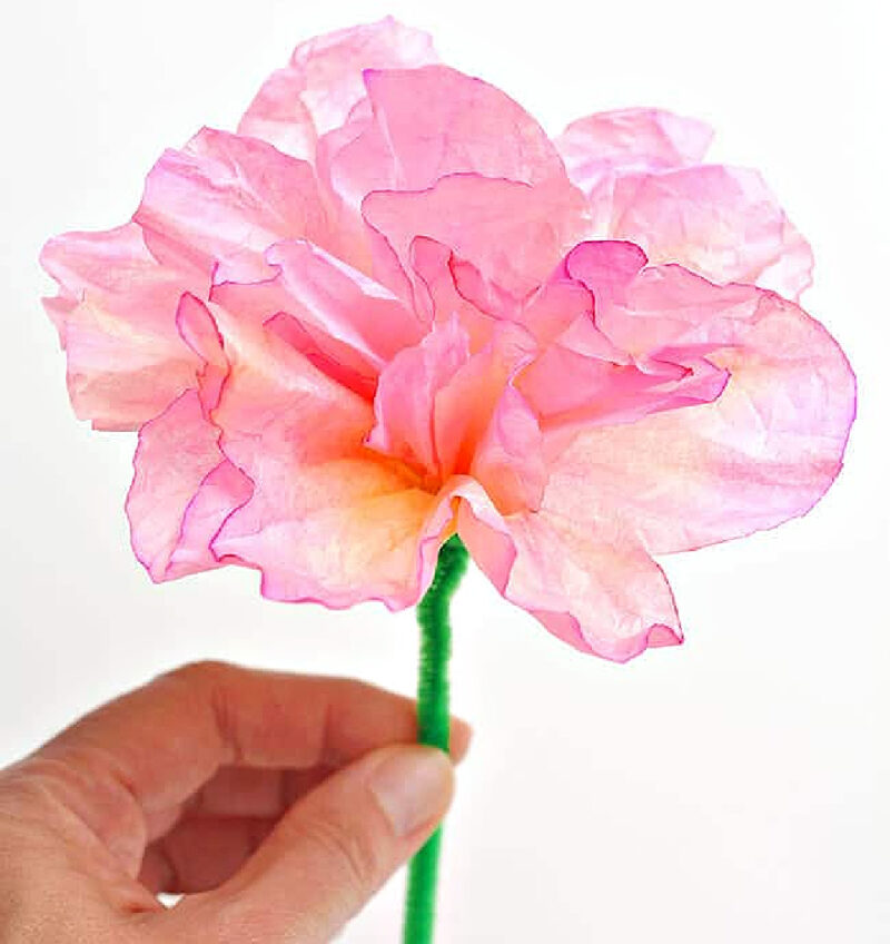 pink coffee filter paper flweers