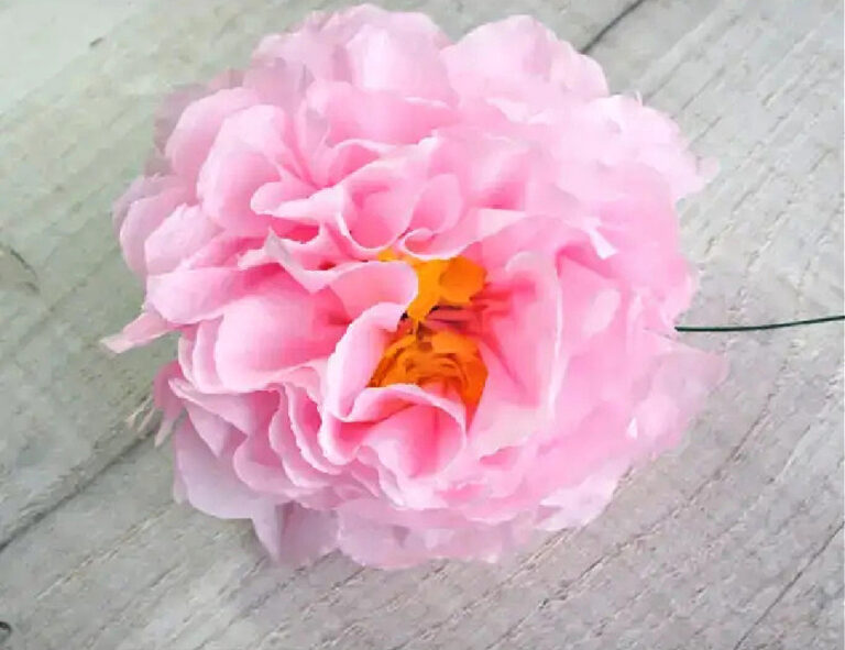 pink peony paper flower 