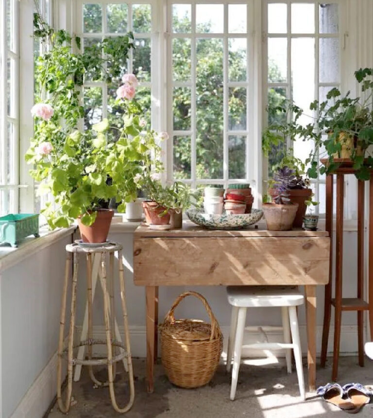 green plants in sunroom with table and stolls 