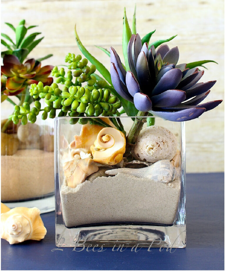 clear square glass vase with filled with sand and succulents