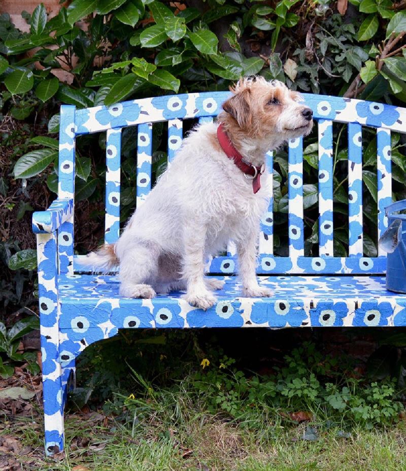 blue decoupage bench with dog sitting