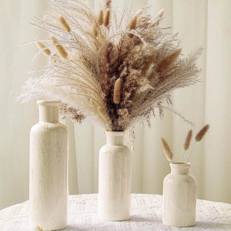 pampus grass in white vases