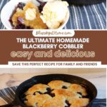 perfect blackberry cobbler graphic