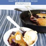 perfect blackberry cobbler graphic