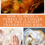 roasted turkey and two turkeys in brine