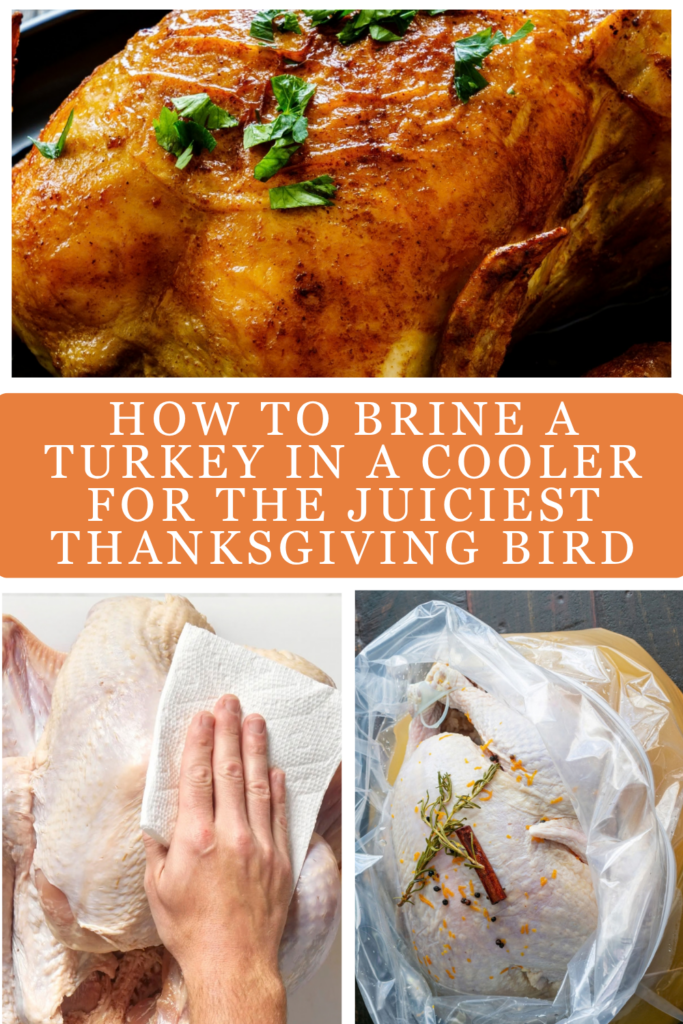 roasted turkey and two turkeys in brine