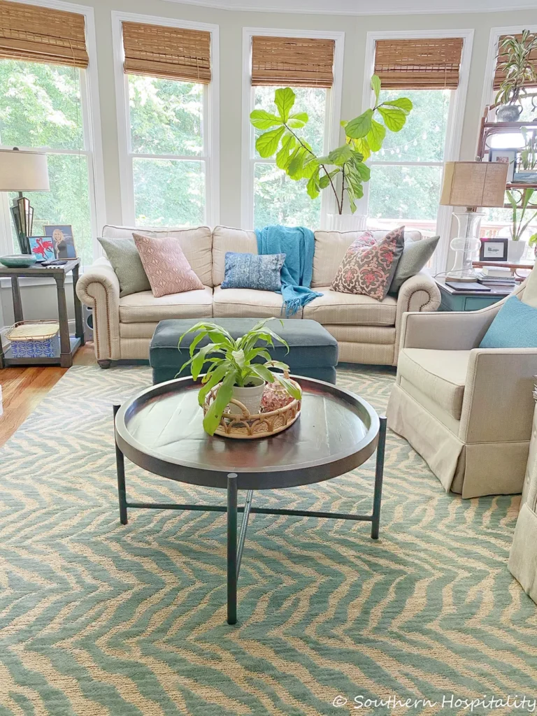 decorative pillows in the living room