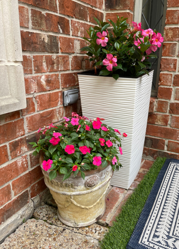 pot of pink impatiens in stone planter