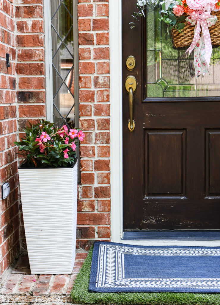 tall white planter with pink mandevilla for spring front door vignette