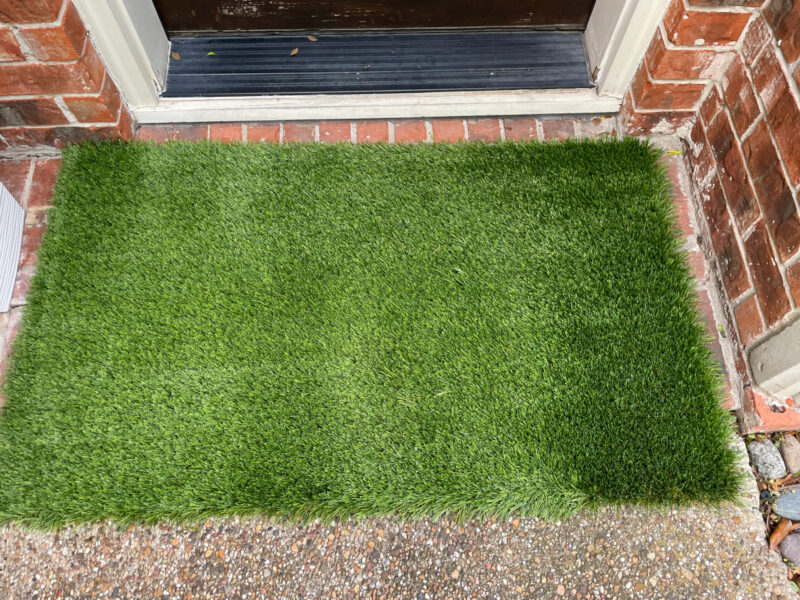 grass turf in front of front door