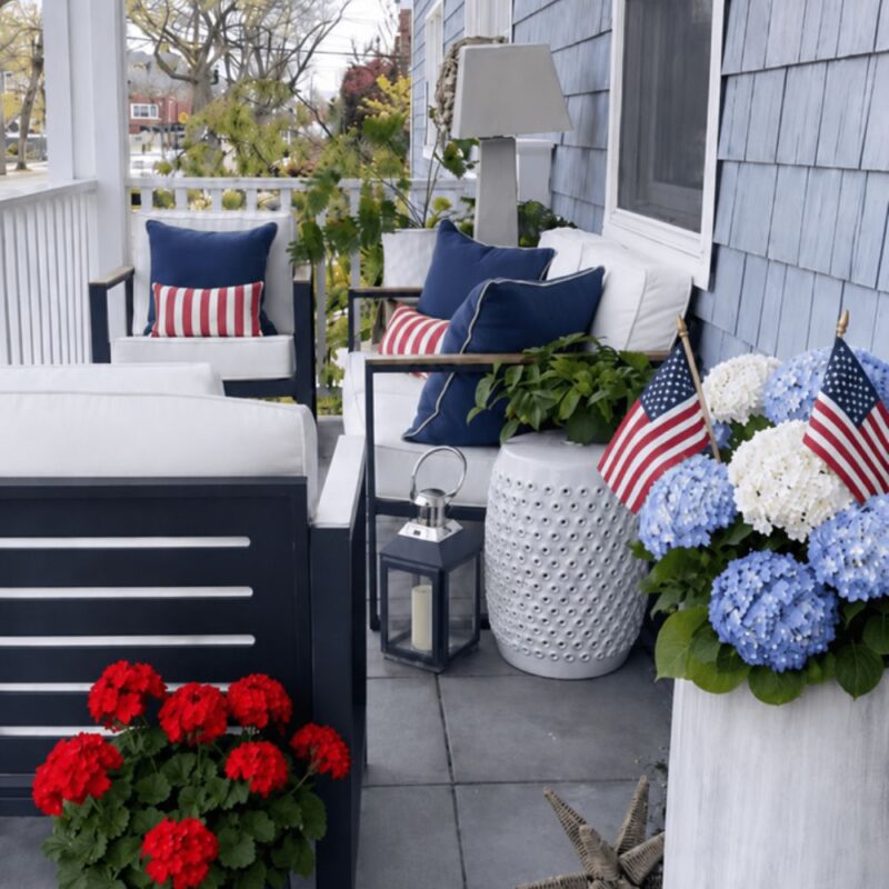 4th of july project