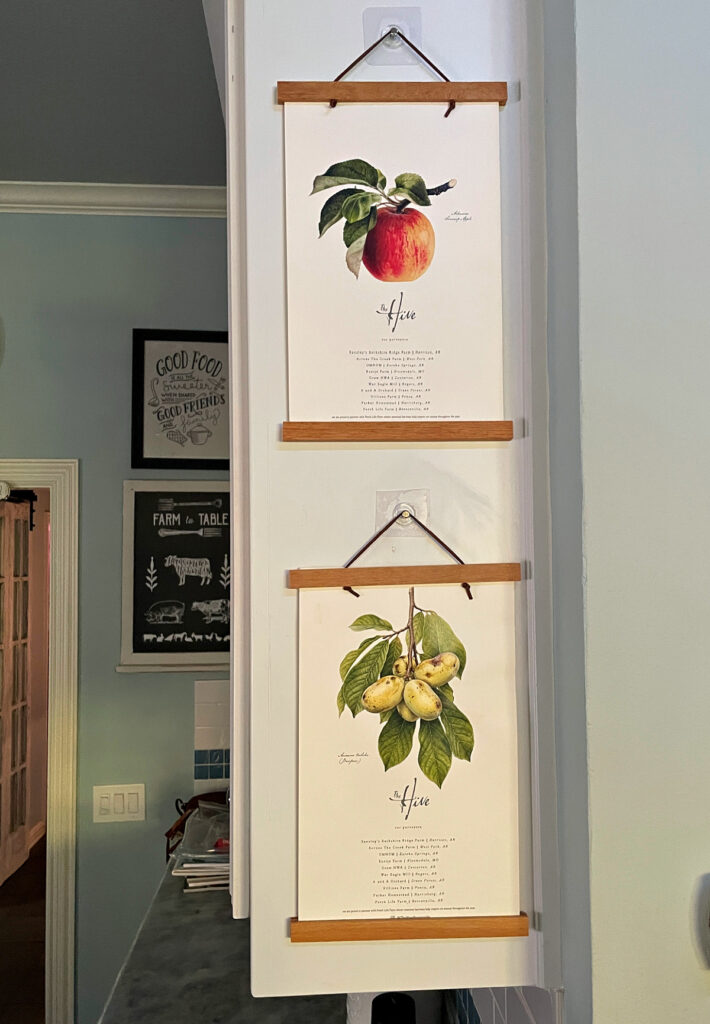 botanical fruit art prints on hangers