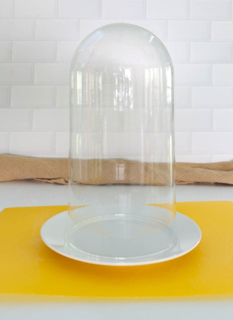 glass cloche